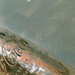 Coca